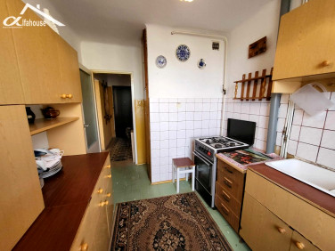 Mieszkanie Chełm sprzedaż