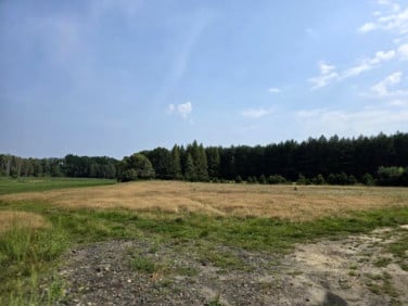 Działka nad rzeką