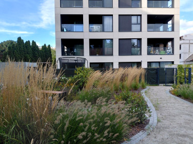 Mieszkanie apartamentowiec wynajem