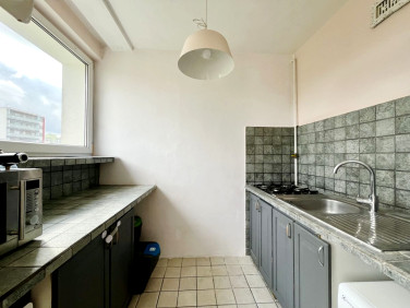 Mieszkanie przy lesie