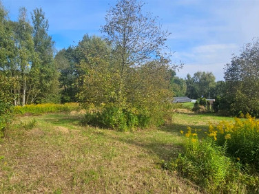 Działka Rybnik