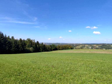 Działka rolna Gródek
