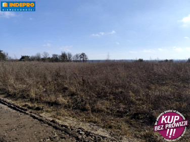 Działka budowlana marcinkowo