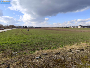 Działka inwestycyjna Inowrocław