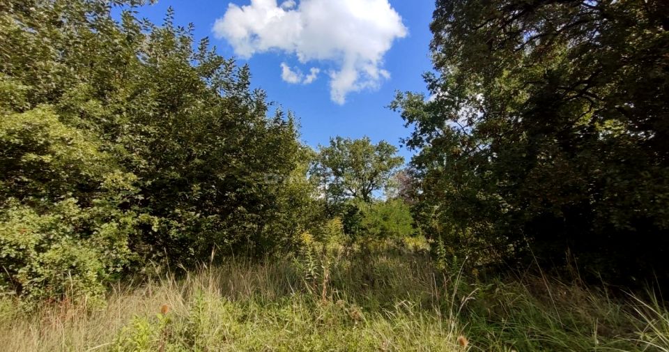 Działka Skierniewice