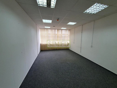 Lokal Warszawa wynajem