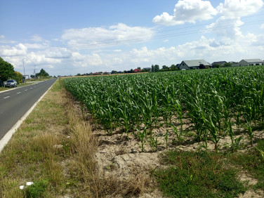 Działka usługowa Słomczyce