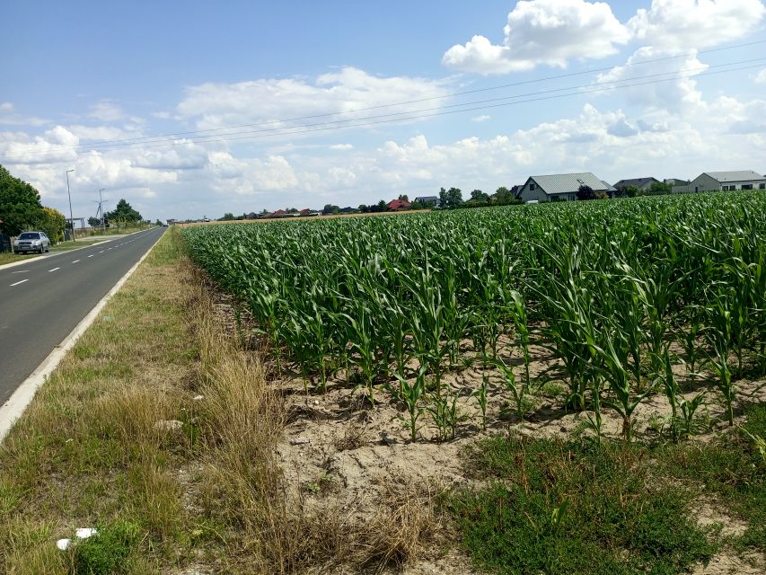 Działka usługowa Słomczyce