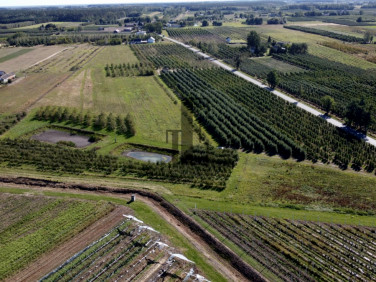 Działka rolna Boglewice sprzedam