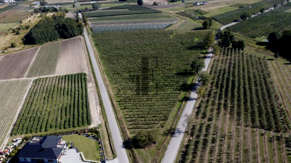 Działka rolna Boglewice sprzedam