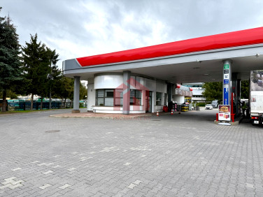 Lokal Rzeszów