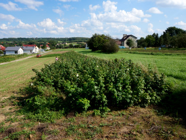 Działka budowlana Rzeszów