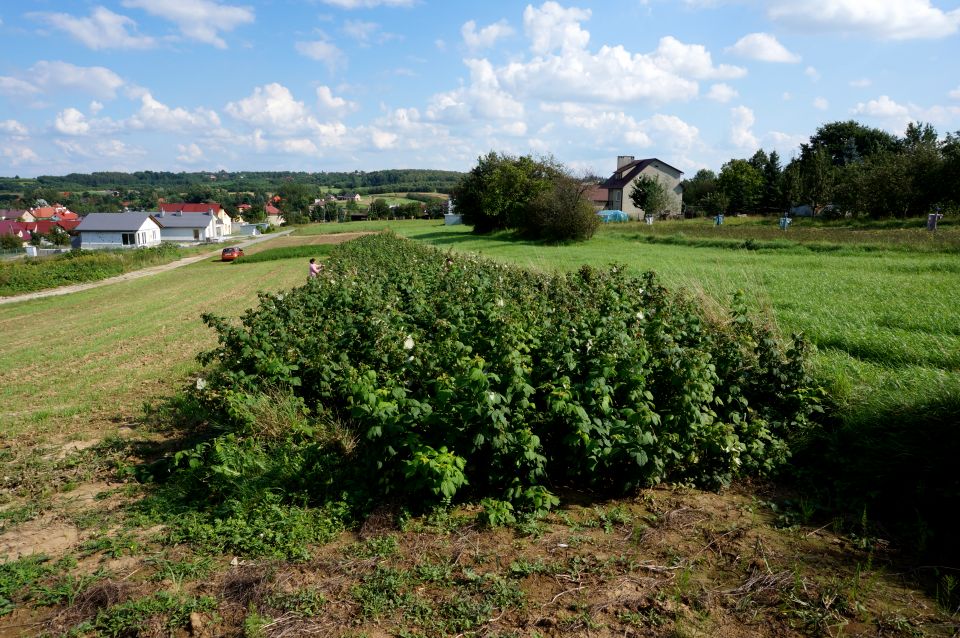 Działka budowlana Rzeszów