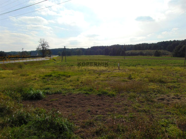 Działka rolna Wielka Nieszawka sprzedam