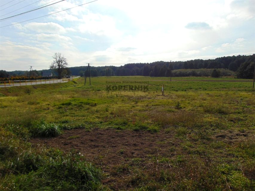 Działka rolna Wielka Nieszawka sprzedam