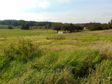 Działka Wielka Nieszawka