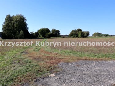Działka siedliskowa Zawady