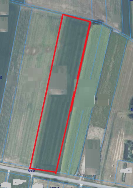 Działka budowlana Surochów