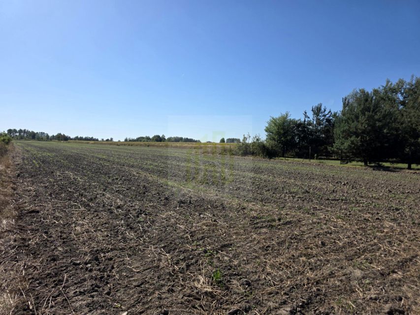 Działka Nowe Faszczyce