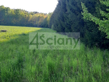 Działka budowlana Rusiec
