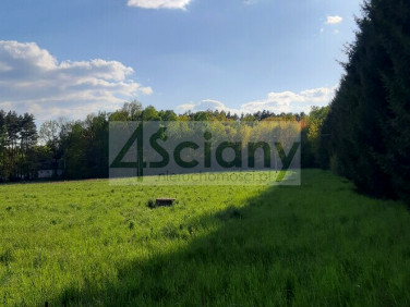 Działka budowlana Rusiec