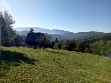 Działka Zawoja