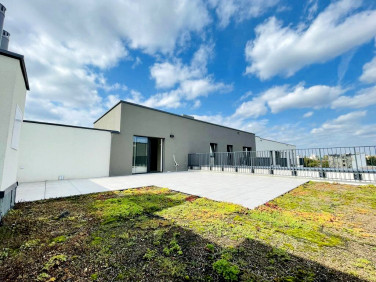 Mieszkanie Łódź sprzedaż