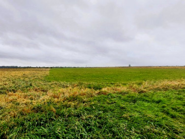 Działka rolna sprzedam