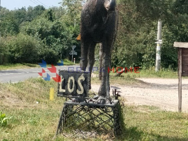 Działka Łoś