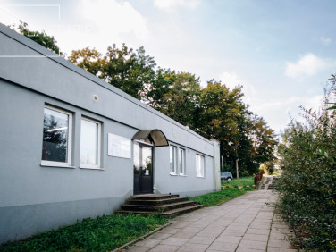Lokal Gdańsk