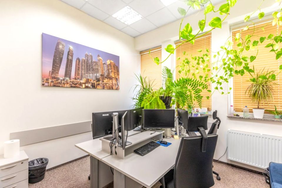 Lokal Lublin wynajem