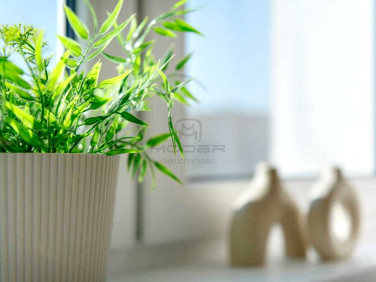 Mieszkanie Gorzów Wielkopolski