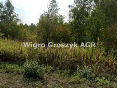 Działka rolna Wólka Przybójewska