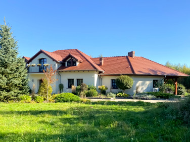 Dom Smyczyna
