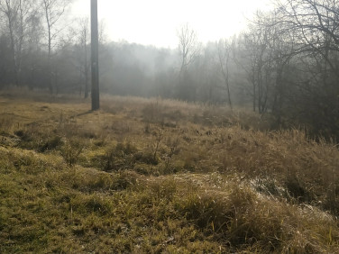Działka Rybnik