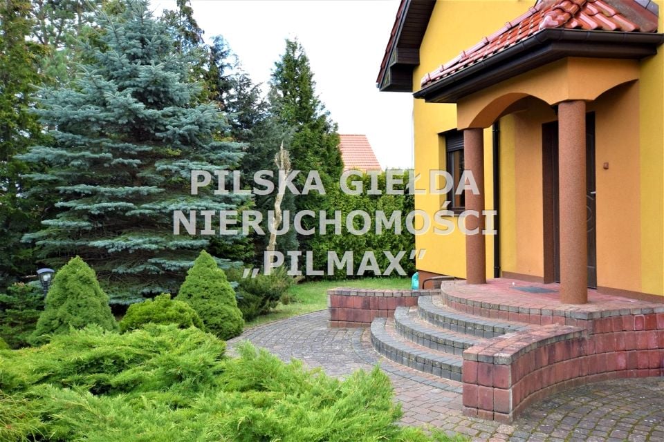 Zdjęcie 2