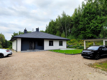 Dom wolnostojący sprzedaż