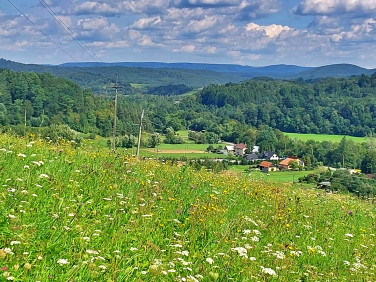 Działka rolno-leśna Nowosiółki