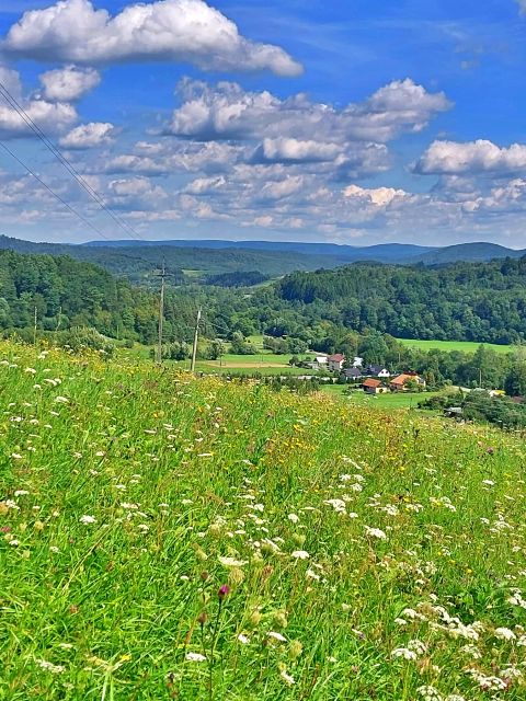 Działka rolno-leśna Nowosiółki