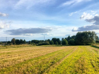 Działka Nowe Kamienice