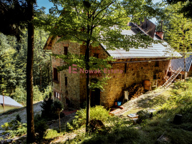 Dom Grzechynia sprzedaż