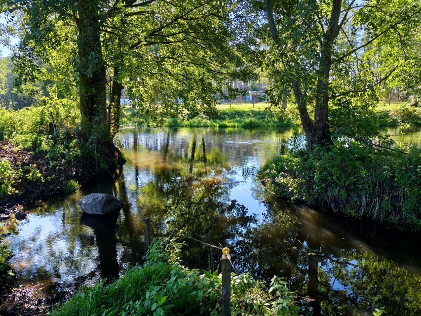 Działka inna Ostrołęka