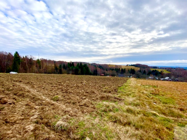 Działka Korzeniec