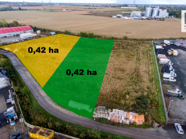 Działka Żórawina