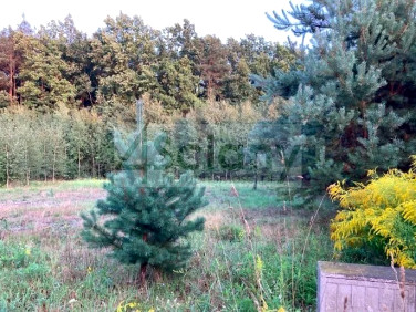 Działka budowlana Siestrzeń sprzedam