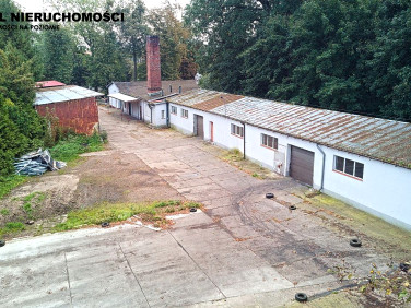 Lokal Pasłęk