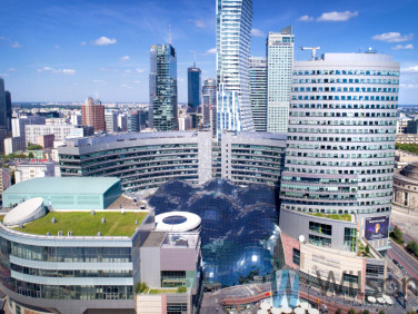 Lokal Warszawa