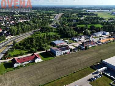 Lokal Łany