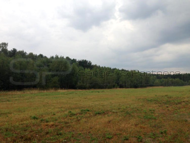 Działka budowlana Budzyń