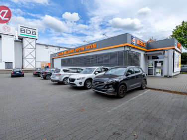 Lokal Trzcianka wynajem